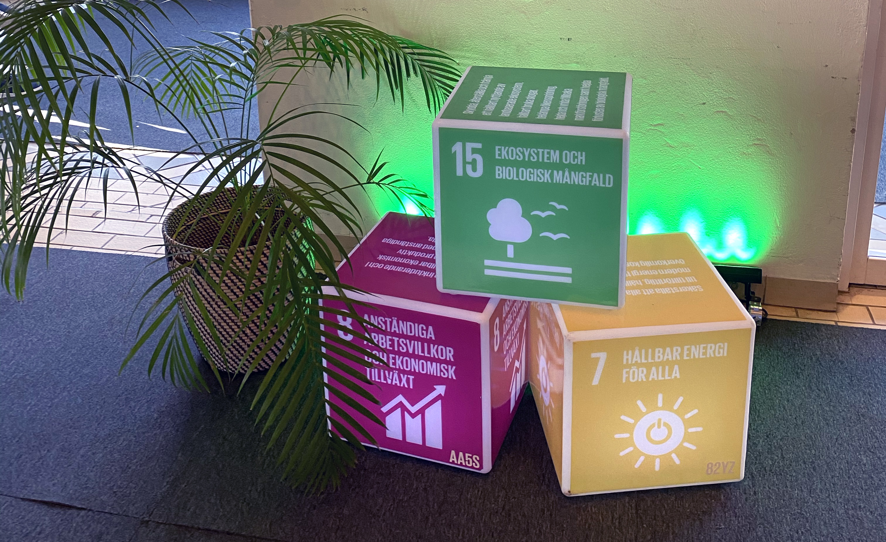 Kuber med tre av de globala målen.